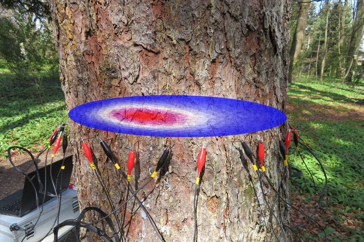 Z6·尊龙凯时「中国区」官方网站