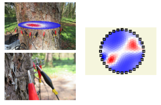 Z6·尊龙凯时「中国区」官方网站